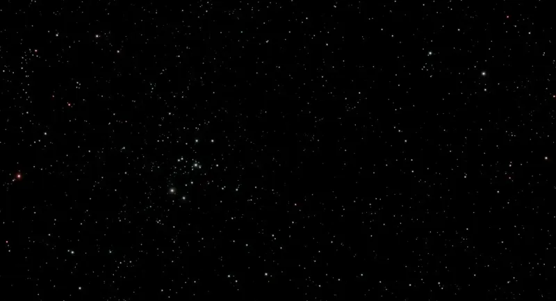 PD01-04onlystars.webp